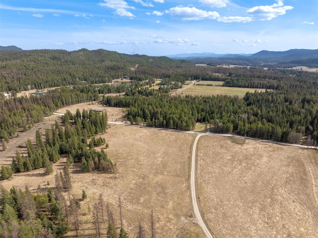 340 Tamarack Creek Rd, Whitefish, MT 59937