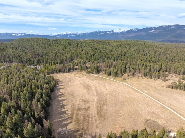 340 Tamarack Creek Rd, Whitefish, MT 59937