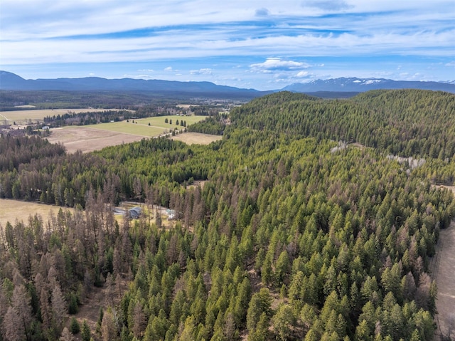 340 Tamarack Creek Rd, Whitefish, MT 59937