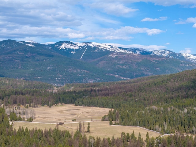 340 Tamarack Creek Rd, Whitefish, MT 59937