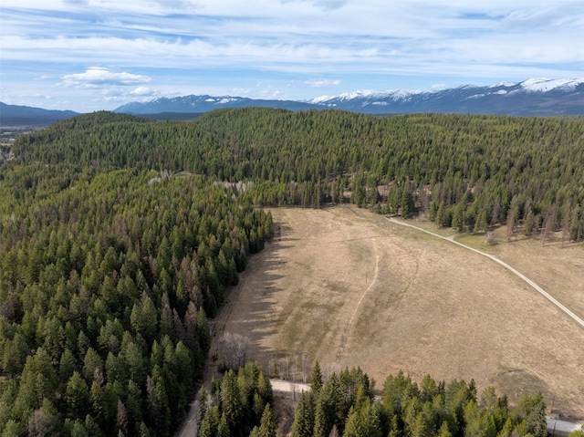 340 Tamarack Creek Rd, Whitefish, MT 59937