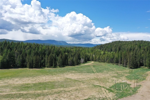 340 Tamarack Creek Rd, Whitefish, MT 59937