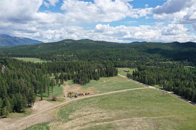 340 Tamarack Creek Rd, Whitefish, MT 59937
