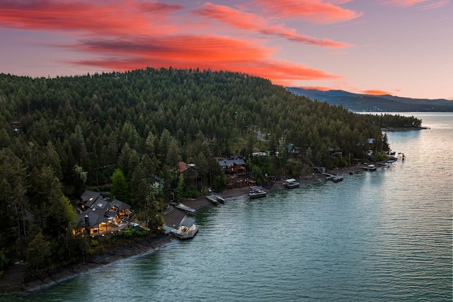275 Tamarack Ter, Lakeside, MT 59922 - water view featuring a forest and a mountain backdrop