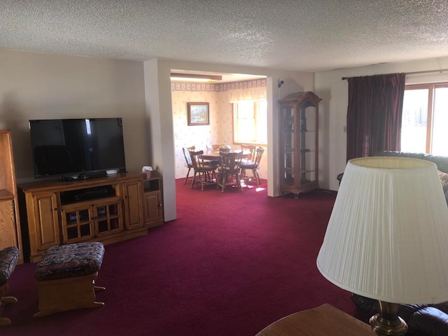 470 Duck Lake Rd, Browning, MT 59417 - carpeted living room with a textured ceiling