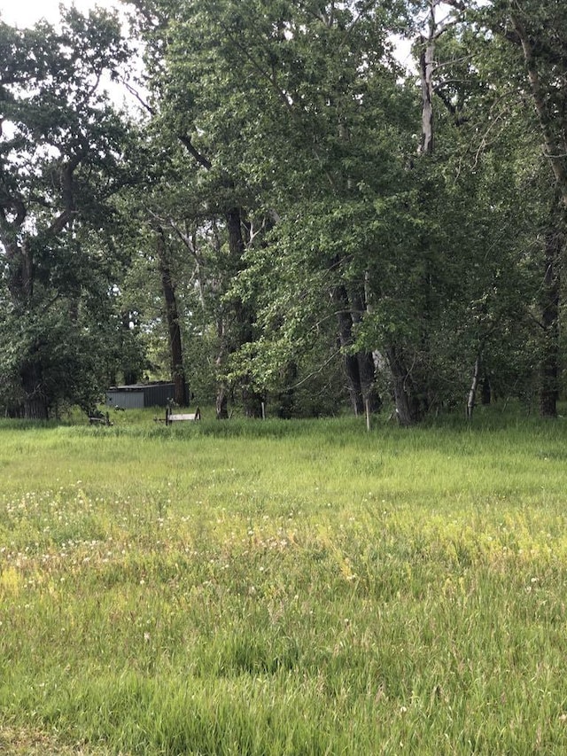470 Duck Lake Rd, Browning, MT 59417 - view of yard with a view of trees