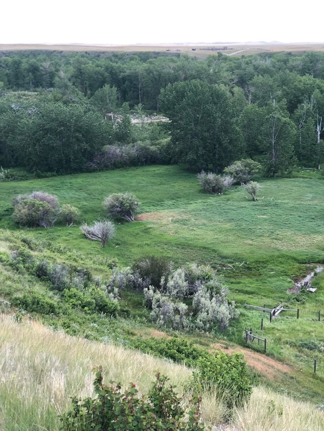 470 Duck Lake Rd, Browning, MT 59417 - view of green lawn