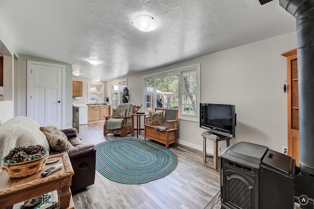 71 Seibold Ln, Cascade, MT 59421 - living area with light wood-style flooring, a textured ceiling, and baseboards
