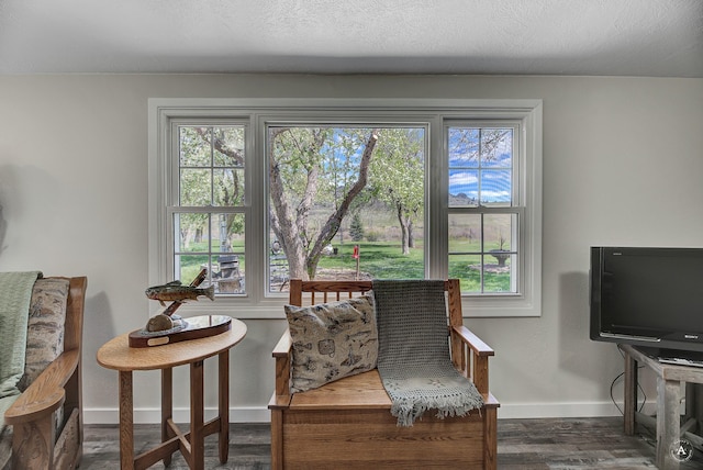 71 Seibold Ln, Cascade, MT 59421 - sitting room with dark wood-style flooring and baseboards