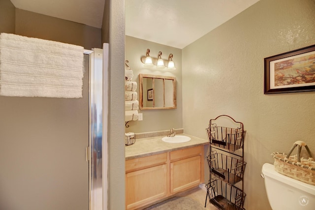 71 Seibold Ln, Cascade, MT 59421 - full bath featuring a textured wall, vanity, toilet, and a shower with shower door