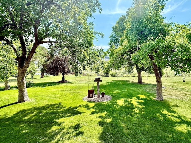 71 Seibold Ln, Cascade, MT 59421 - view of property's community with a yard