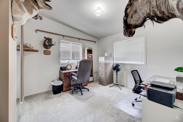 73 Seibold Ln, Cascade, MT 59421 - carpeted office with vaulted ceiling