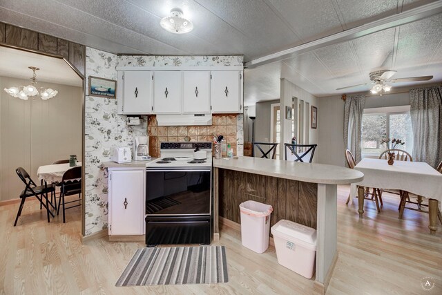 73 Seibold Ln, Cascade, MT 59421 - kitchen featuring range with electric stovetop, under cabinet range hood, light wood-style floors, light countertops, and a peninsula