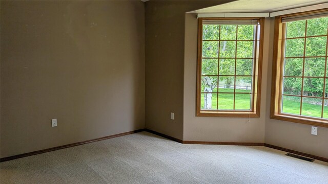 286 Edgewater Dr, Libby, MT 59923 - spare room with light colored carpet and healthy amount of natural light