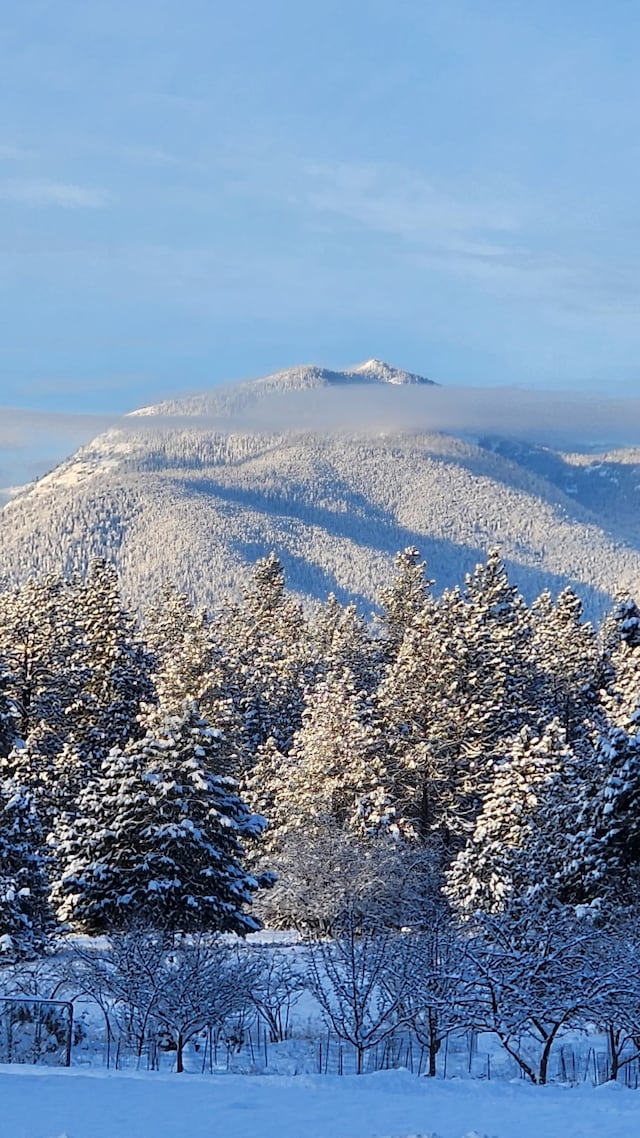 286 Edgewater Dr, Libby, MT 59923 - water view with mountains