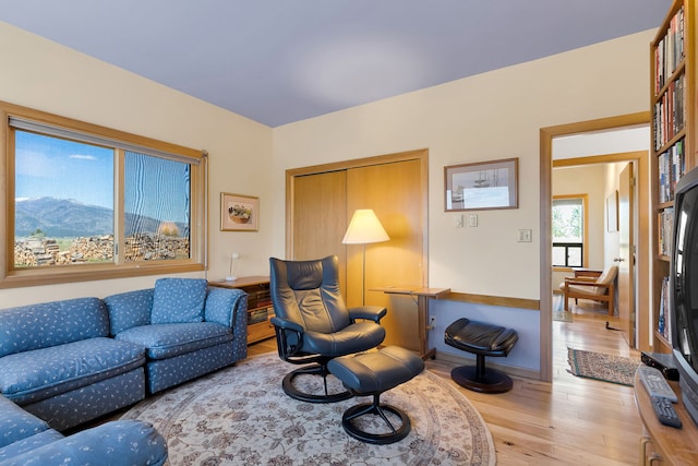 living room featuring wood finished floors