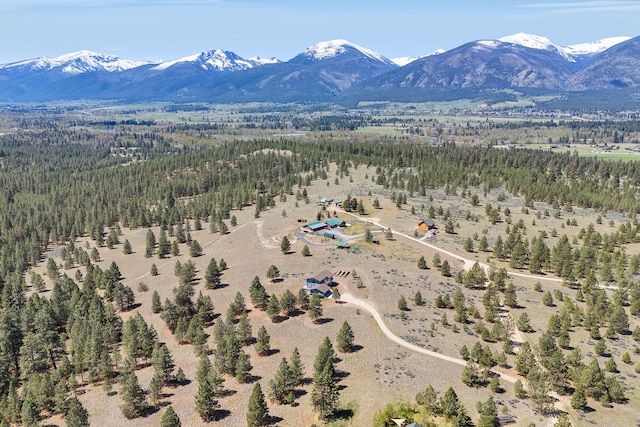 aerial view of a mountainous background and a heavily wooded area