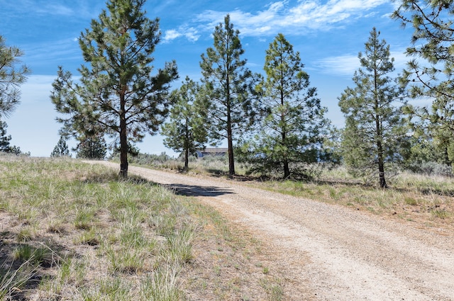 view of dirt / gravel road