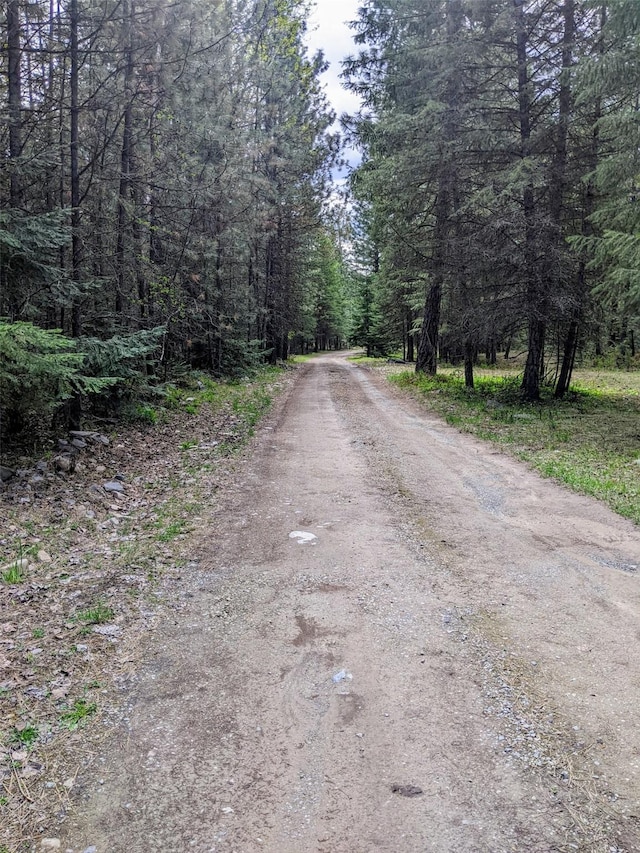 NHN Little Deer Drive, Plains, MT 59859