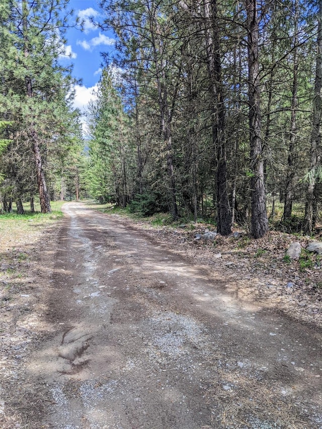 NHN Little Deer Drive, Plains, MT 59859