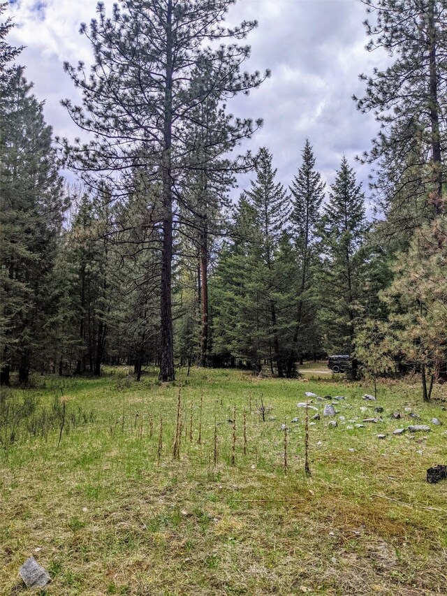 NHN Little Deer Drive, Plains, MT 59859