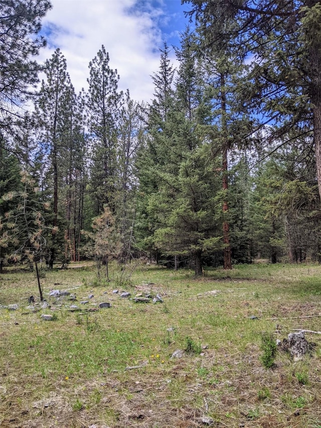NHN Little Deer Drive, Plains, MT 59859