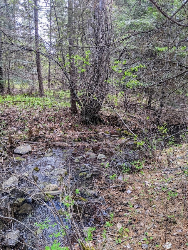 NHN Little Deer Drive, Plains, MT 59859