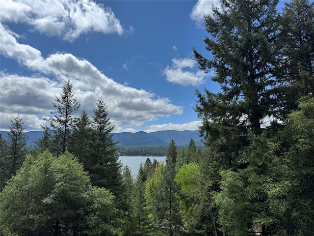 26 Castele Ln, Trout Creek, MT 59874 - mountain view with a forest and a nearby body of water