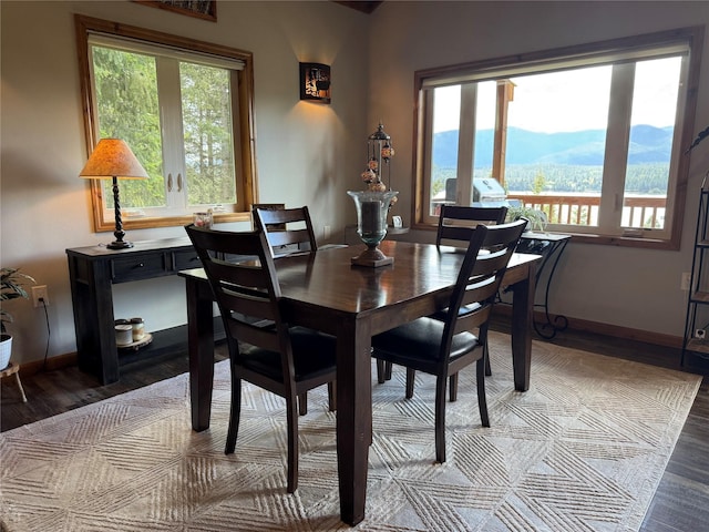 26 Castele Ln, Trout Creek, MT 59874 - dining space with baseboards, wood finished floors, and a mountain view
