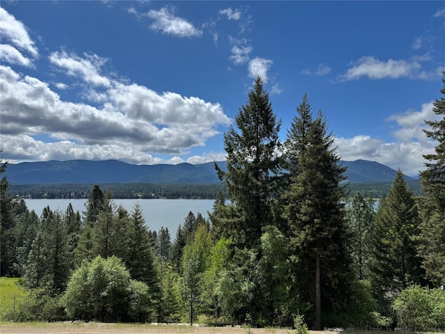 26 Castele Ln, Trout Creek, MT 59874 - water view featuring mountains and a heavily wooded area