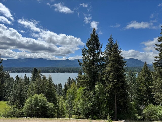 26 Castele Ln, Trout Creek, MT 59874 - water view featuring mountains and a forest
