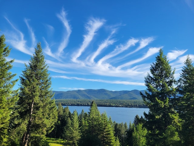 26 Castele Ln, Trout Creek, MT 59874 - water view featuring a forest and mountains