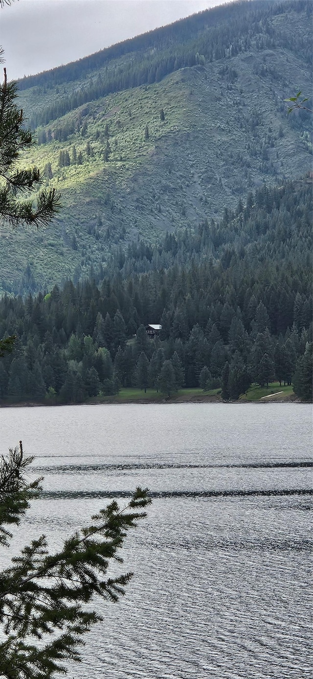 26 Castele Ln, Trout Creek, MT 59874 - water view featuring a forest
