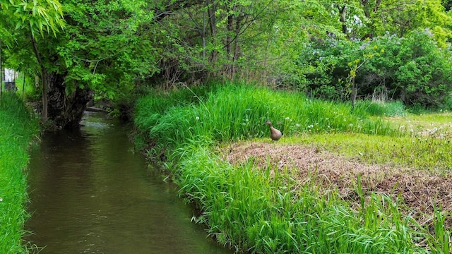 view of undeveloped land