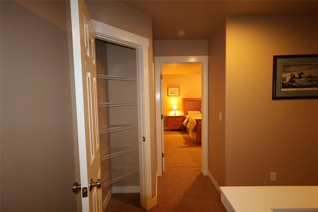 260 Eagle Bend Dr, Bigfork, MT 59911 - hall featuring carpet flooring and baseboards