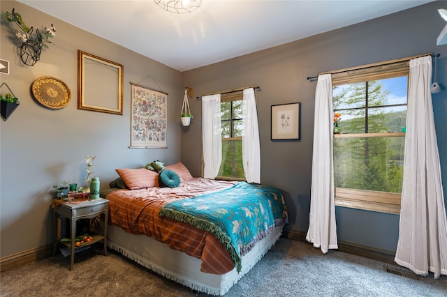 25 Hodge Rdg, Kila, MT 59920 - carpeted bedroom featuring baseboards