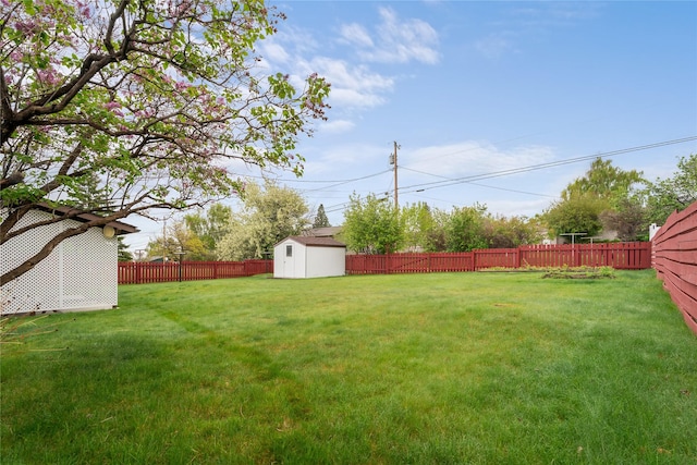 view of yard featuring a storage shed and an outdoor structure