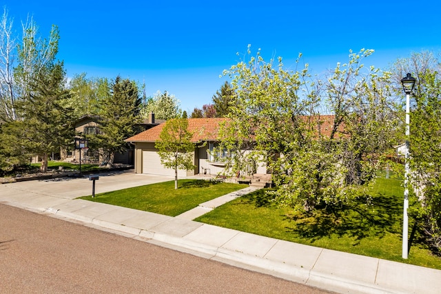 obstructed view of property with driveway, an attached garage, and a front lawn
