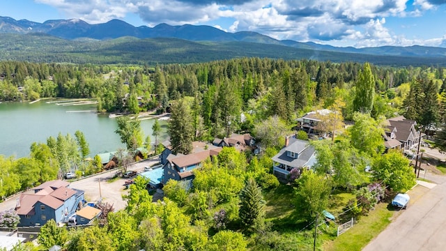 211 Idaho Ave, Whitefish, MT 59937 - aerial perspective of suburban area featuring a forest and a water and mountain view