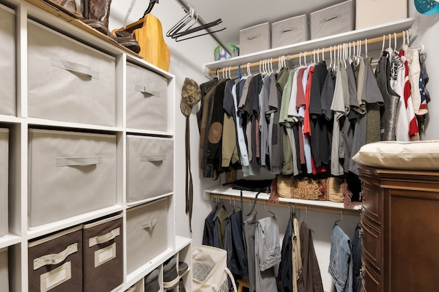 551 Fox Meadow Ln, Hamilton, MT 59840 - view of spacious closet