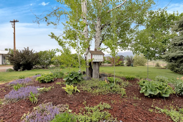 551 Fox Meadow Ln, Hamilton, MT 59840 - view of green lawn
