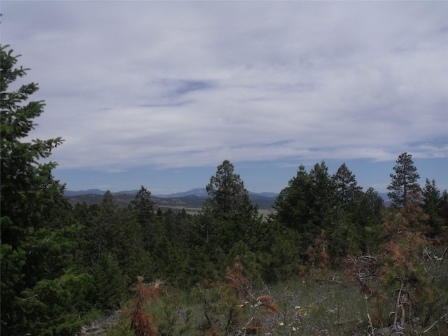 TBD Hidden Springs Drive, Helena MT, 59602 land for sale