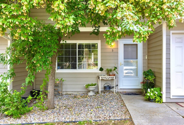 view of entrance to property