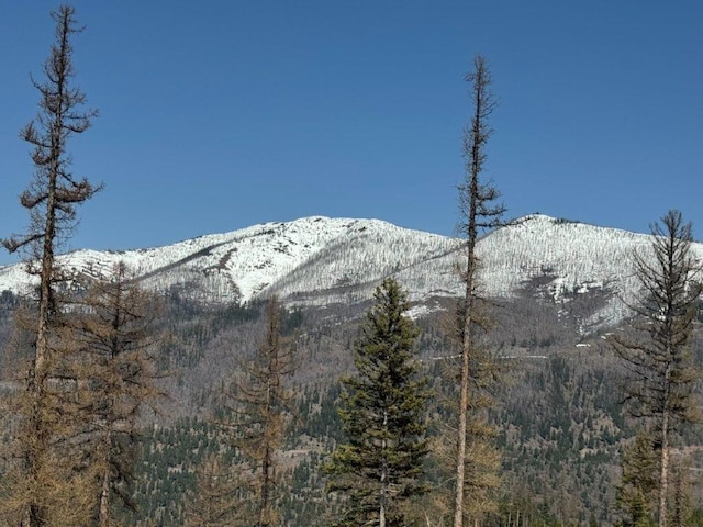 mountain view featuring a heavily wooded area