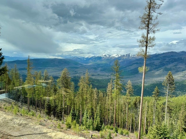 view of mountain background with a heavily wooded area