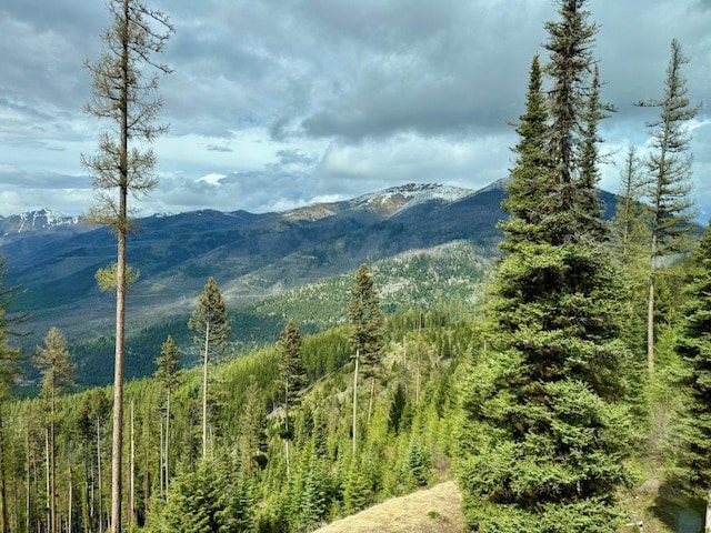 mountain view featuring a forest