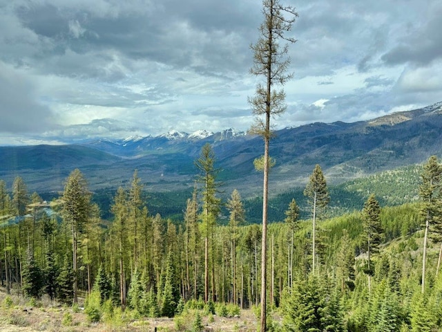mountain view with a forest