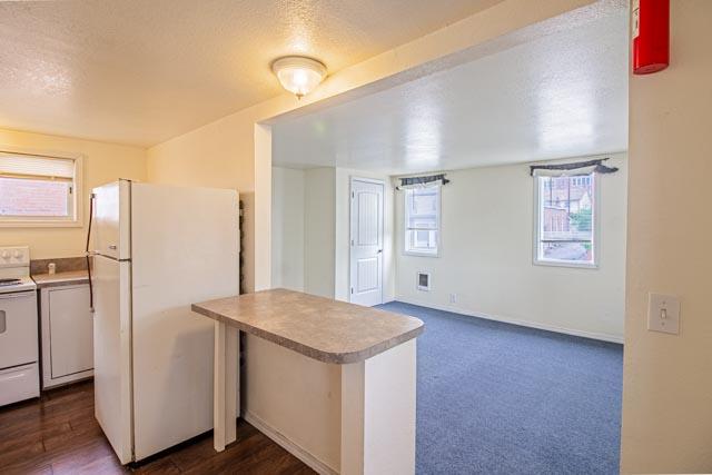 103 S Excelsior Ave, Butte, MT 59701