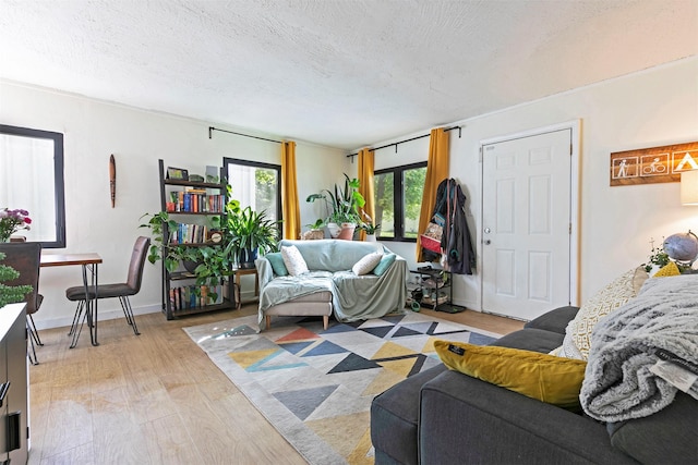 2112 W Central Ave, Missoula, MT 59801 - living room featuring light wood-style floors and a textured ceiling