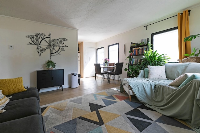 2112 W Central Ave, Missoula, MT 59801 - living room featuring wood finished floors and a textured ceiling